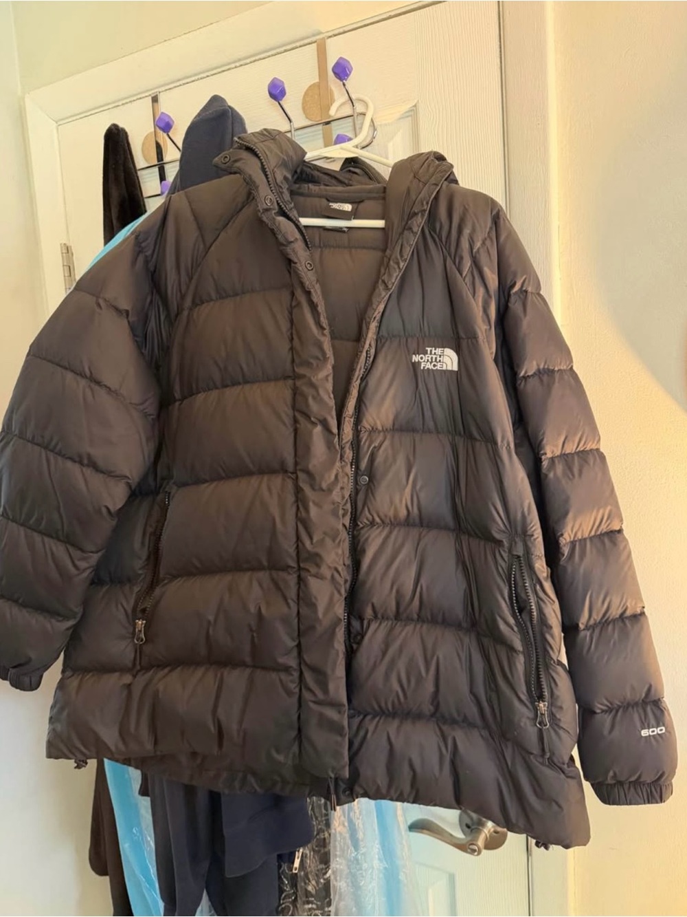 The North Face Women’s Black Insulated Hooded Puffer Jacket
